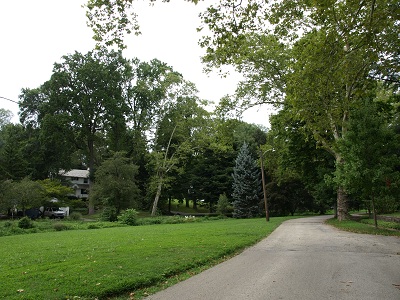 b0131774_49273.jpg