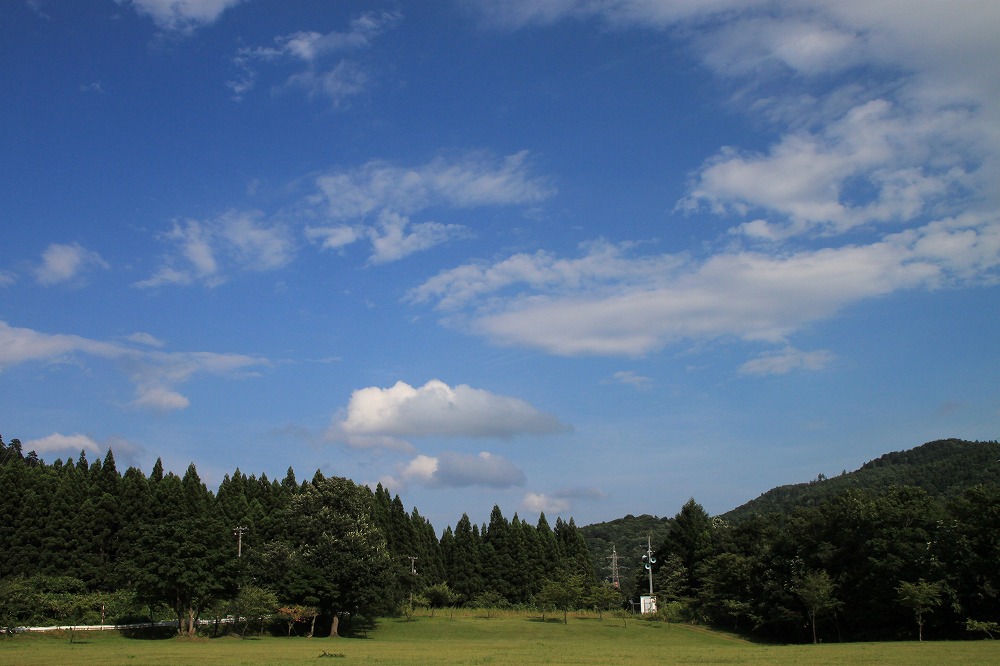a0152184_22591535.jpg