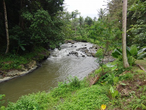 b0101284_23263978.jpg