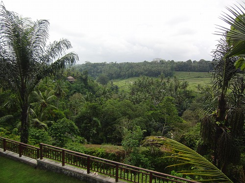 b0101284_23303265.jpg
