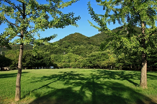 e0190885_1917308.jpg