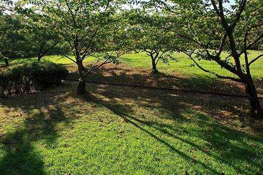 e0190885_191749100.jpg