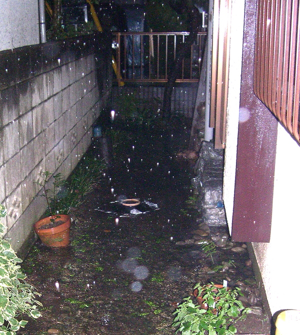 d0122088_11482925.jpg