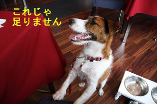 e0121589_0372371.jpg