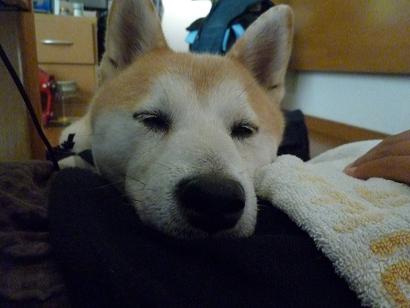 c0123890_20411410.jpg