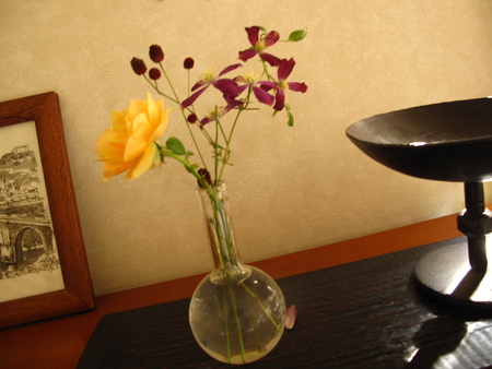 f0178897_8085.jpg