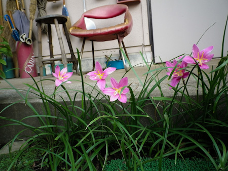 f0239100_12582622.jpg