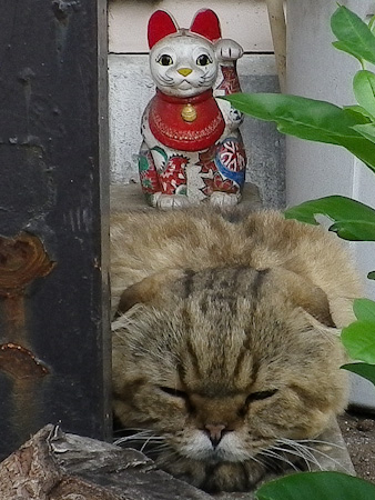 f0239100_12594716.jpg