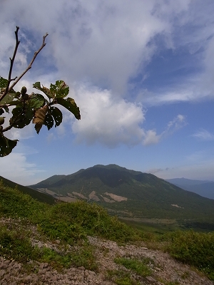 f0157901_21202496.jpg