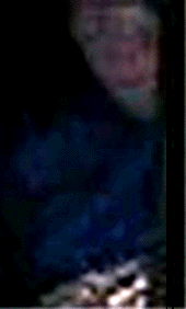 e0103408_1445107.gif