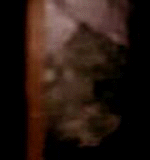 e0103408_14523644.gif