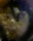 e0103408_14525434.gif