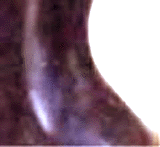 e0103408_14531718.gif