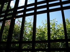 c0190010_2143715.jpg