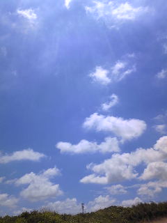c0029913_11355546.jpg