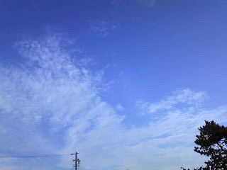 c0029913_11363493.jpg