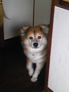 c0029913_1212185.jpg