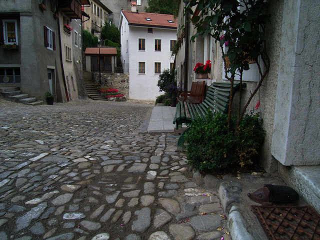 a0030714_6464447.jpg