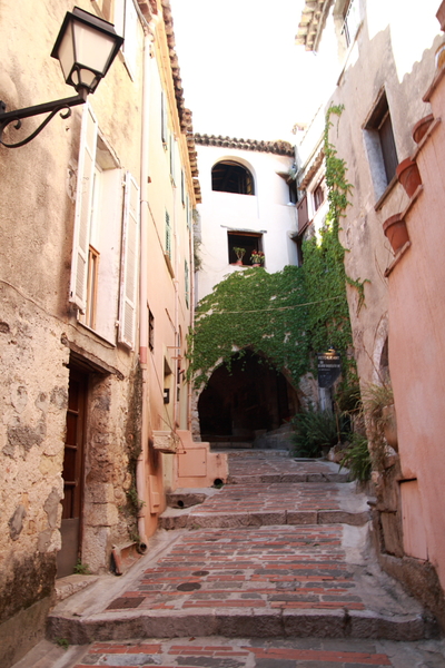 e0042414_622539.jpg