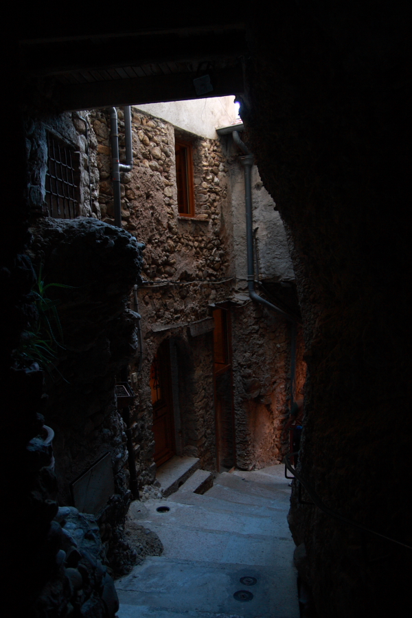 e0042414_632996.jpg