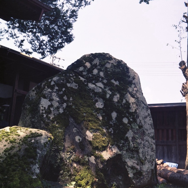 d0089742_1124963.jpg