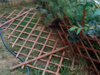 c0086746_735569.jpg