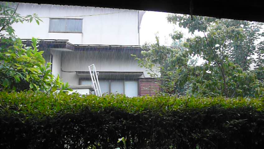 b0117548_11561419.jpg