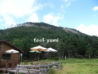 b0142548_20425994.jpg