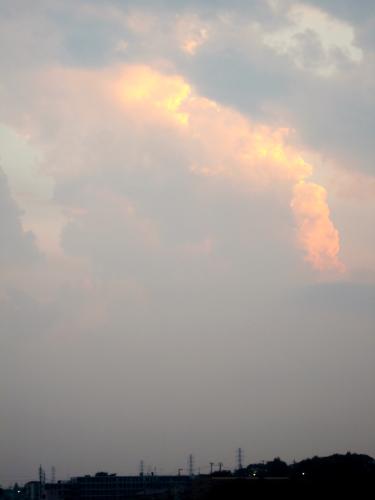 c0206559_1515695.jpg
