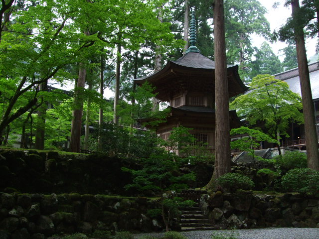f0203260_025461.jpg