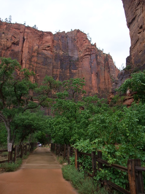 c0115366_21345923.jpg