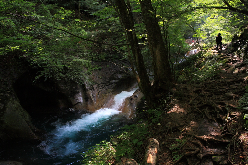 b0027267_23213396.jpg