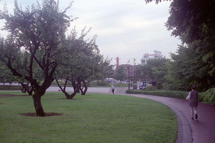 b0021570_11482182.jpg