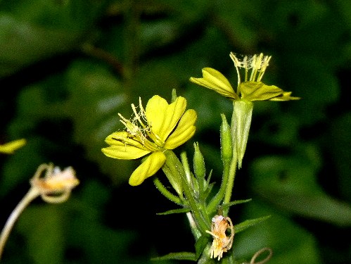 d0084473_21234721.jpg