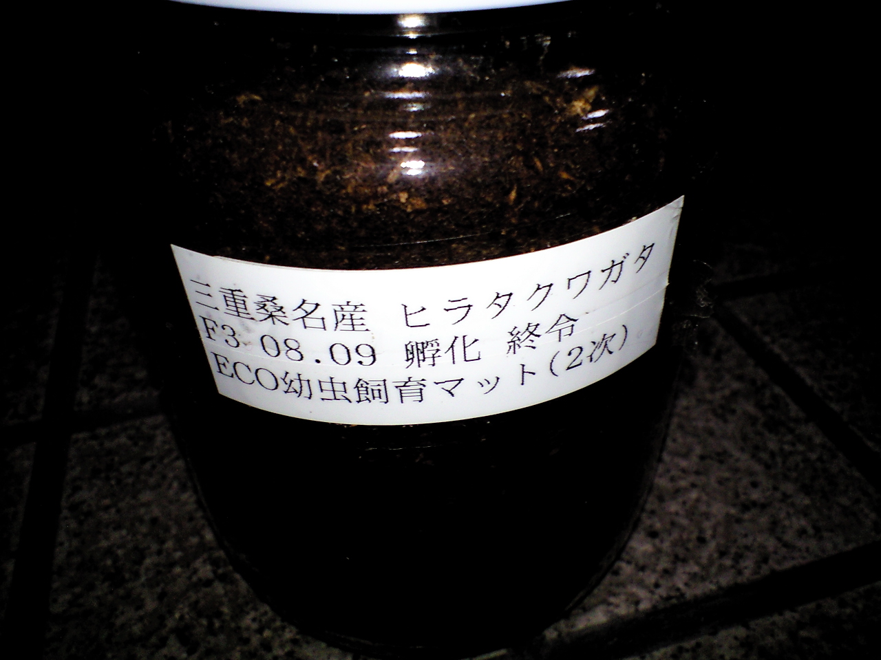 a0093677_19154059.jpg