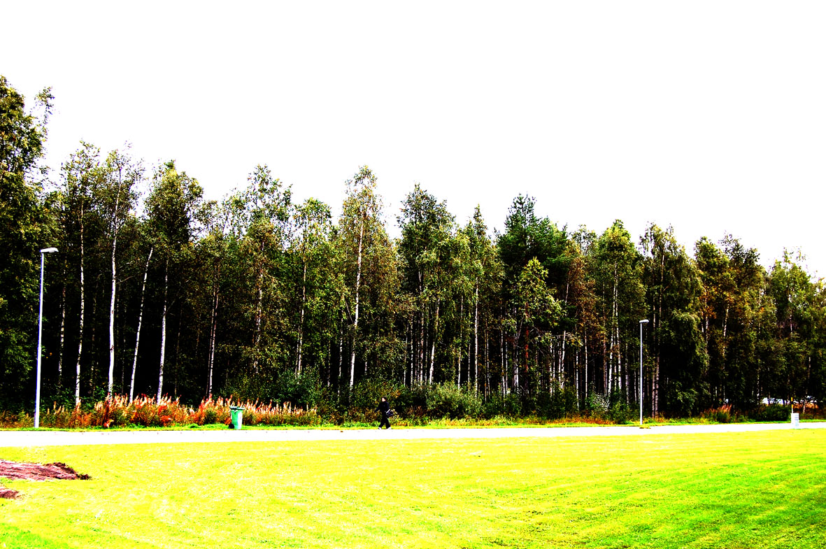 a0152079_23341339.jpg