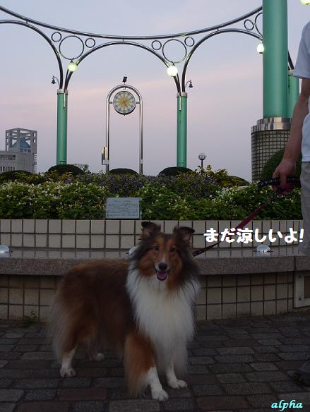 c0189388_16251815.jpg