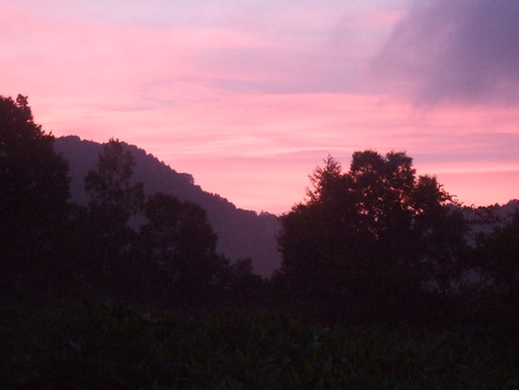 f0063791_1343434.jpg