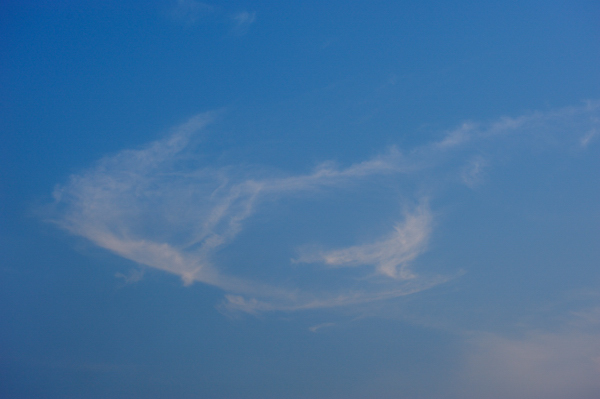 b0141397_9261654.jpg