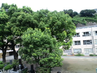 c0023399_15281585.jpg