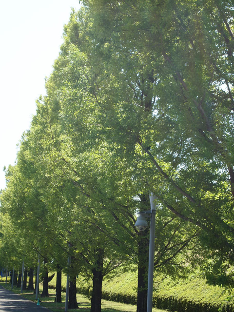 f0236201_1614481.jpg