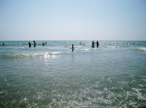 a0060003_20525819.jpg