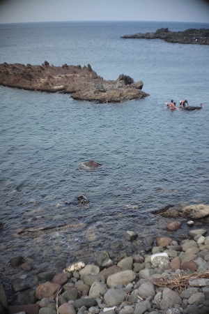 c0202705_20255938.jpg