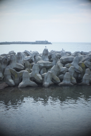 c0202705_2026978.jpg