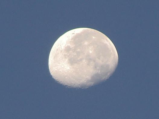 e0123808_21541452.jpg
