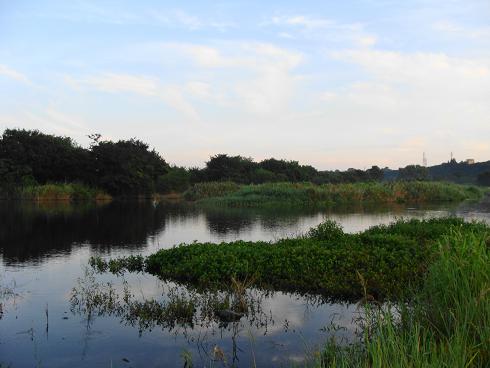 e0123808_21562795.jpg