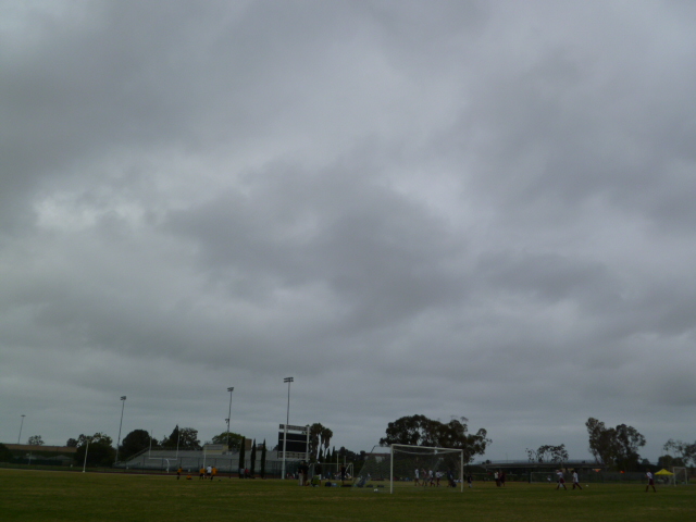 a0144811_759095.jpg