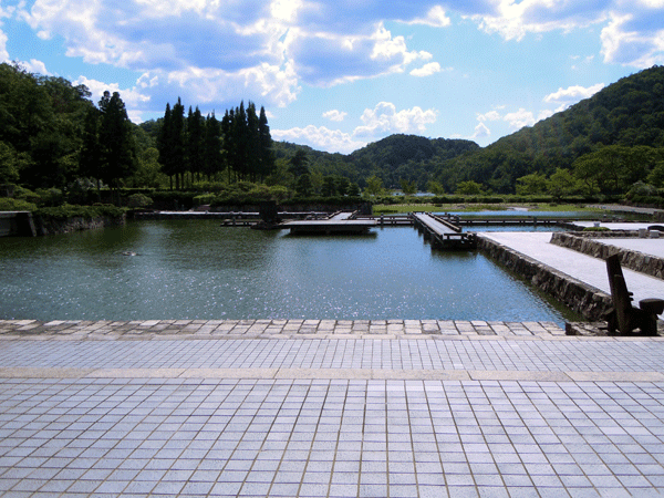 b0159611_22401476.gif