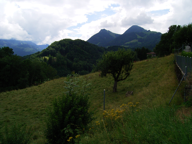 a0030714_618301.jpg