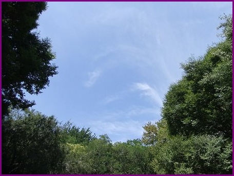 d0143214_2292066.jpg